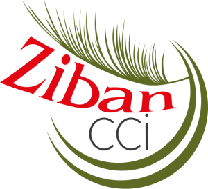 Logo-CCI-Ziban